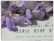 5th May 2015 - It's a Wedding Invitation!