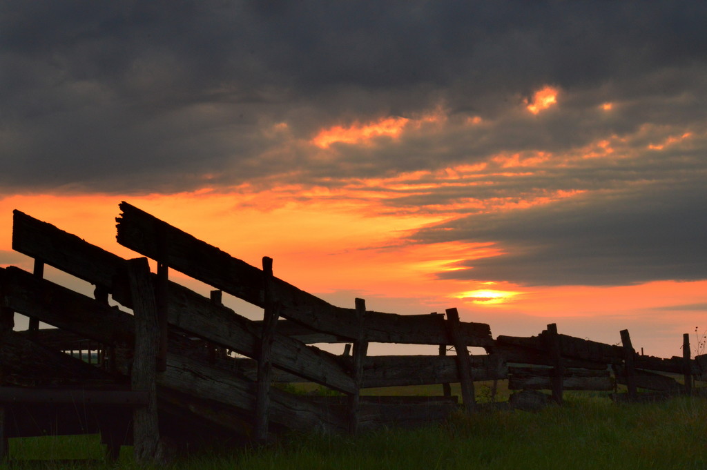 Country Morning Drive by kareenking