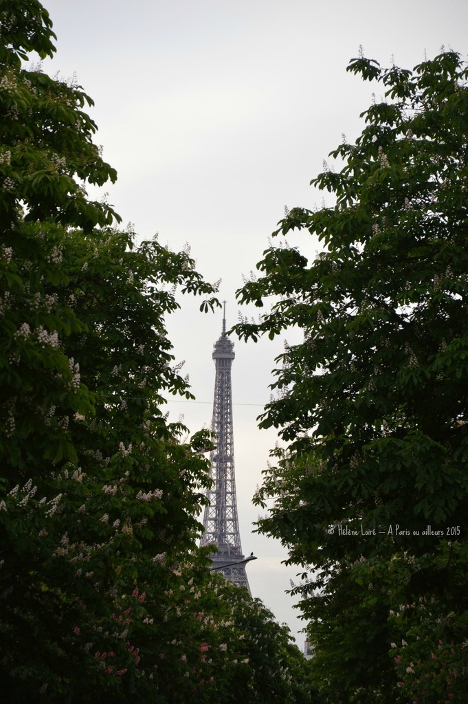 Hide & seek Eiffel tower by parisouailleurs