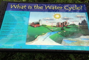 6th May 2015 - Water Cycle