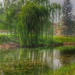 Weeping Willow by redy4et