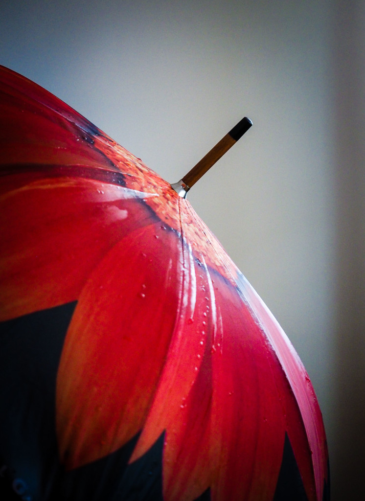 Wet Umbrella by rosiekerr