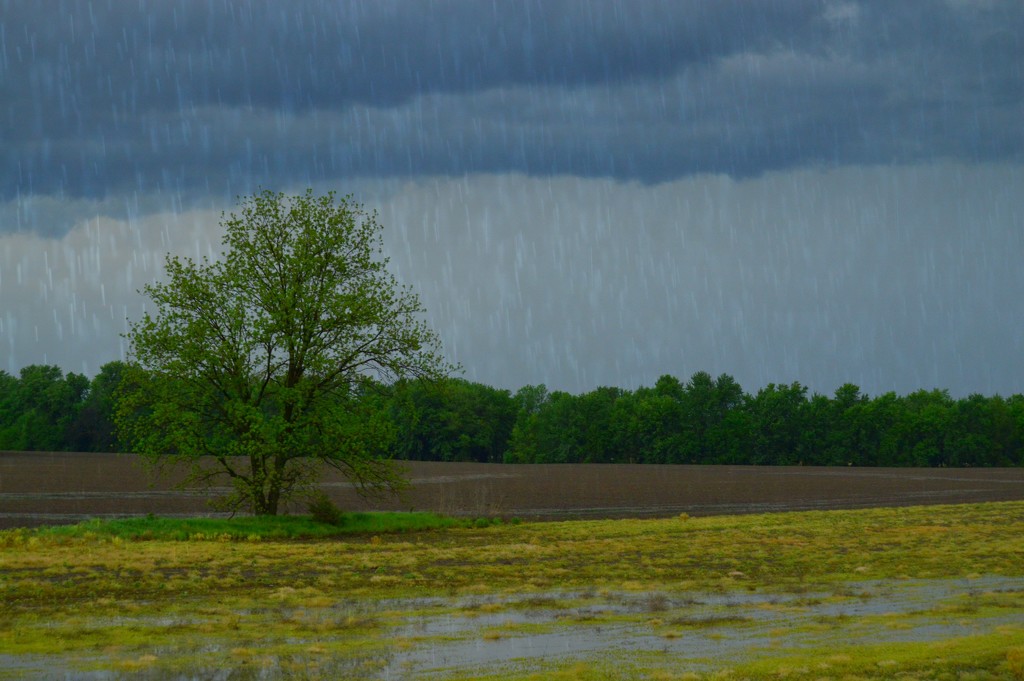 Kansas Rainscape by kareenking