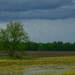 Kansas Rainscape by kareenking