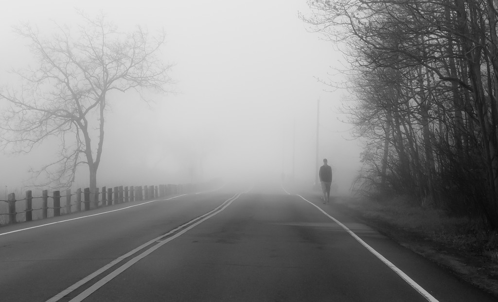 Alone in the fog by mccarth1
