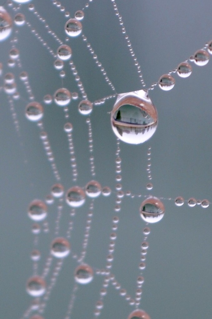 Droplet reflection by kdrinkie
