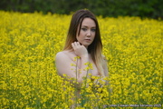 6th Jun 2015 - Girl in a Yellow Field