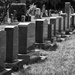 Gravestones  by epcello