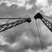Two Cranes by leonbuys83