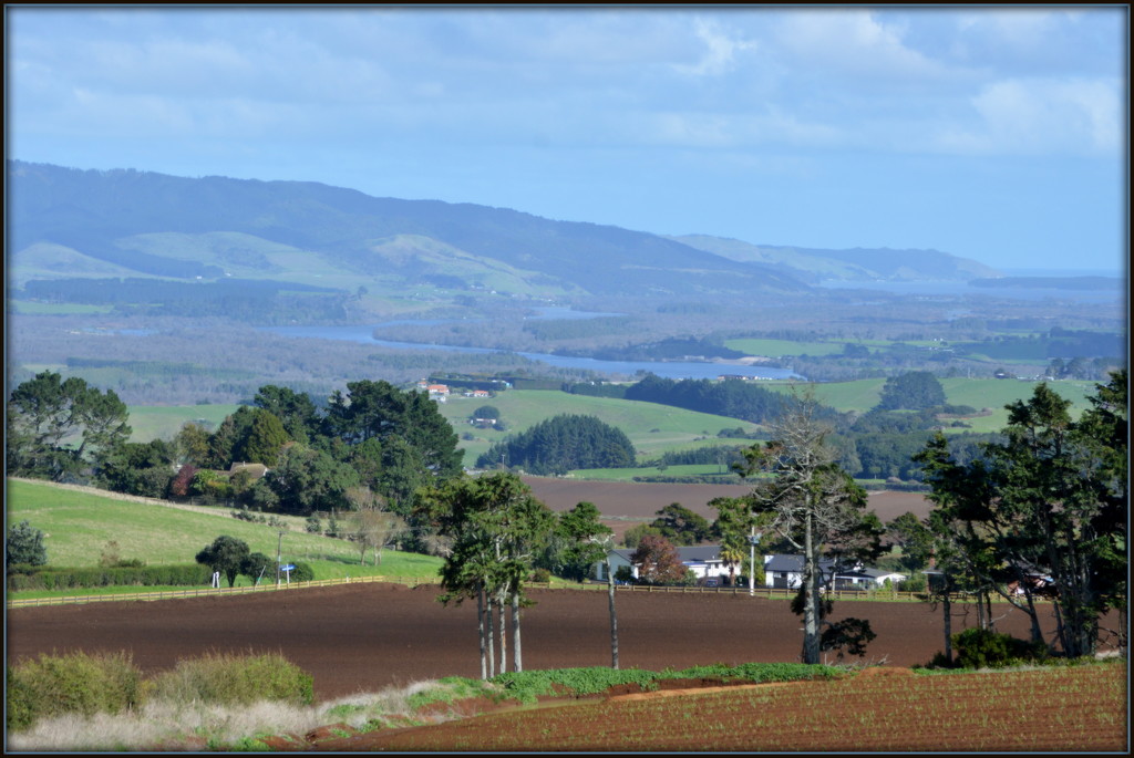 Waikato River Landscape by nickspicsnz