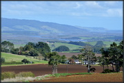 9th May 2015 - Waikato River Landscape