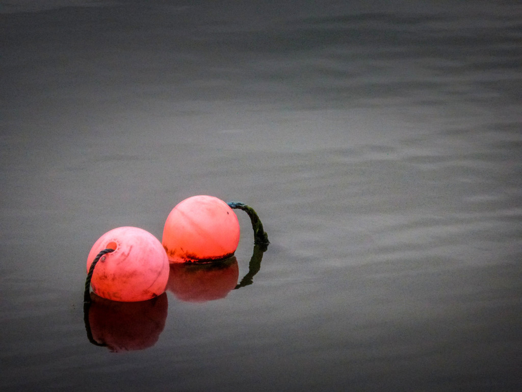 Two buoys by frequentframes