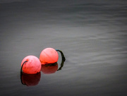 10th May 2015 - Two buoys