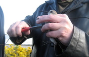 10th May 2015 - Ringing 