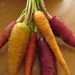 Carrots by alia_801