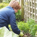 Linda Gardening by philhendry