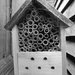 Bughouse by dragey74