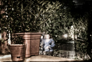 29th May 2014 - a ghost in the garden
