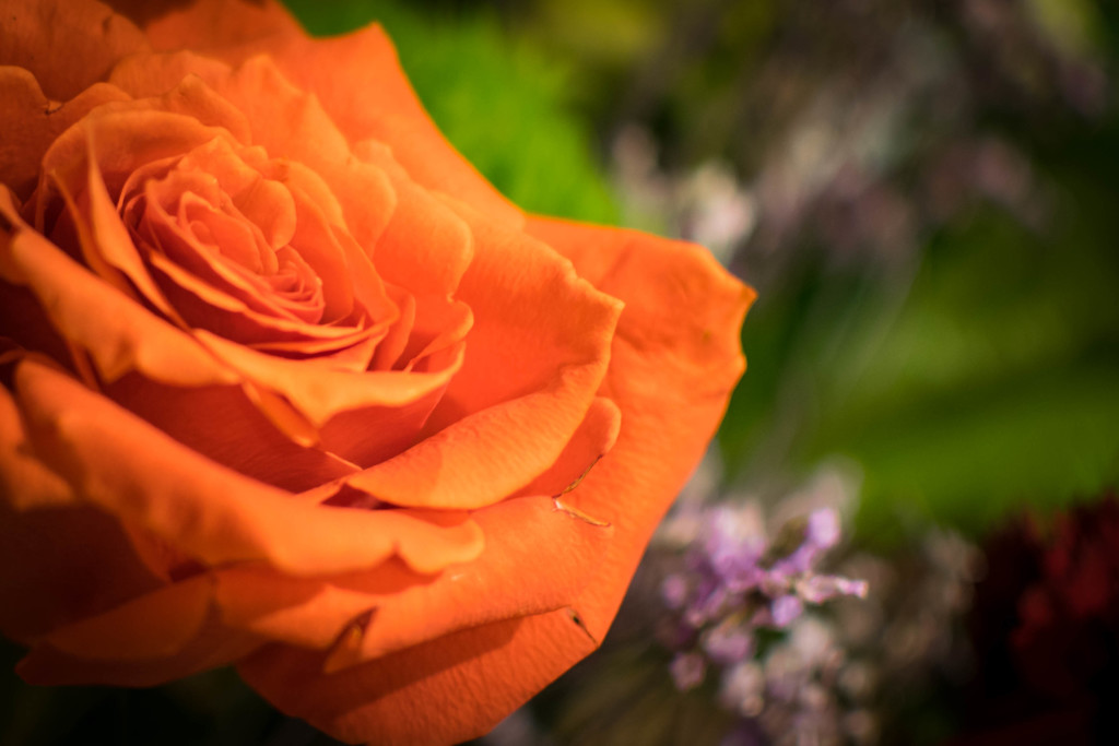 Mothers Day Bouquet by ckwiseman