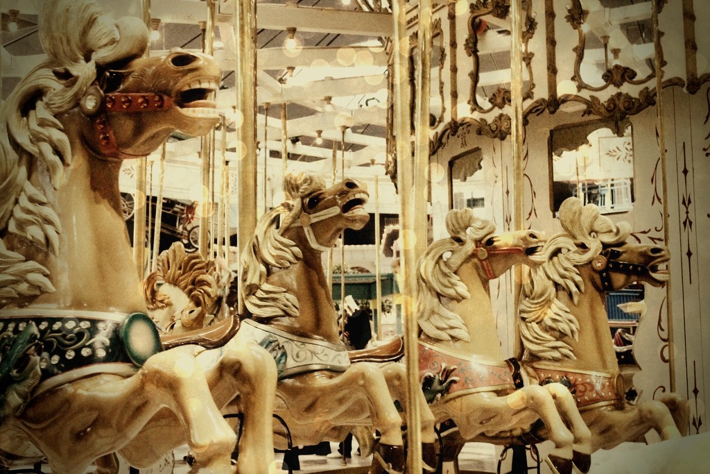 carousel by edie