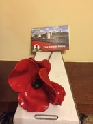 9th Jan 2015 - Poppy from The Tower of London