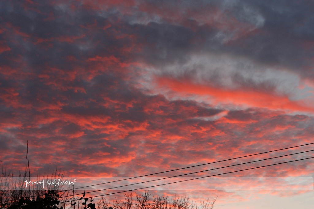 310_55 Red sky at night by pennyrae
