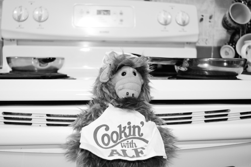 Alf Cooks Dinner  by mej2011