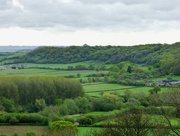 11th May 2015 - Spring towards Pitney Wood