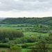 Spring towards Pitney Wood by julienne1