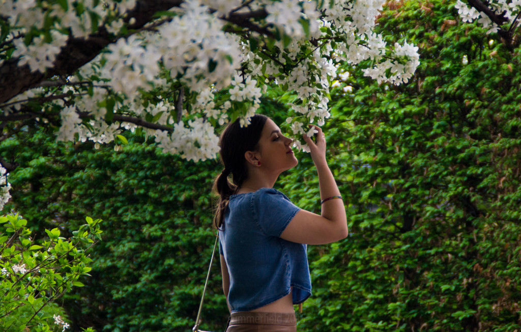 go ahead and smell the blossoms  by summerfield