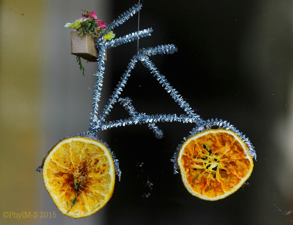 Fruit Bikes in the Sky with Tinsel... by elatedpixie