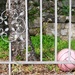 Ball Behind Bars by will_wooderson