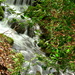 Dingle - and a stream runs through it  by ziggy77