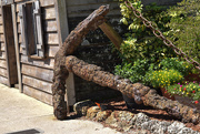 12th May 2015 - Tuesday Rust Theme- Rusty Anchor