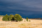 13th May 2015 - NSW country landscape