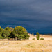 NSW country landscape by pusspup