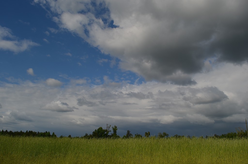 Late Spring skies, Dorchester County, SC by congaree