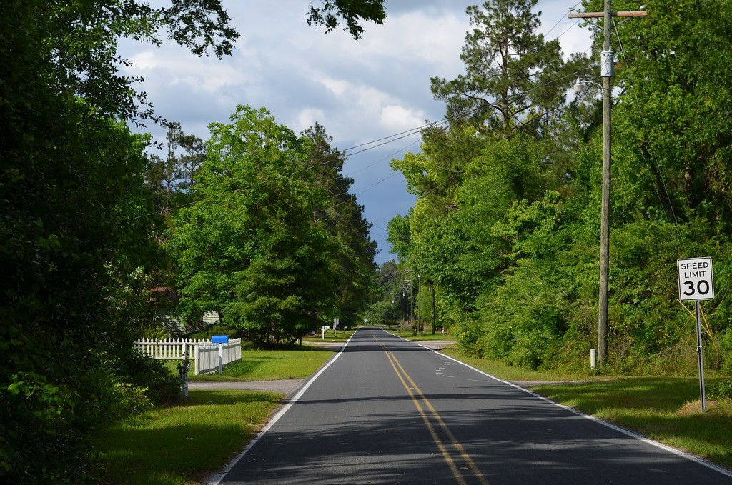 Country road, Dorchester, SC by congaree