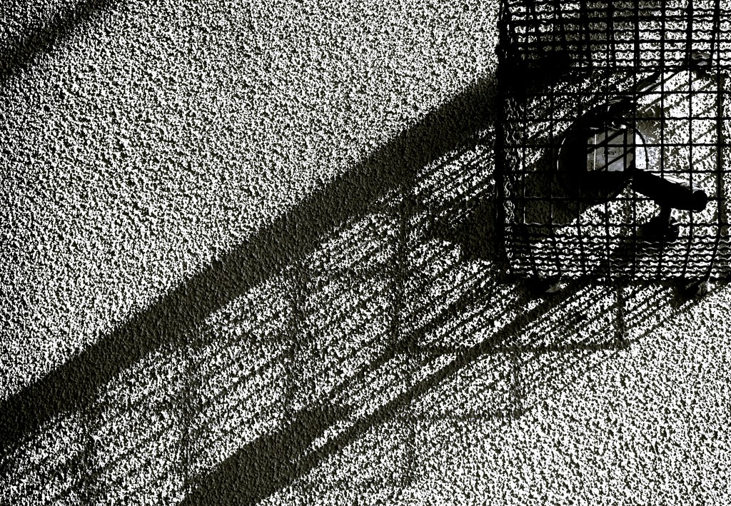 Shadows by vera365