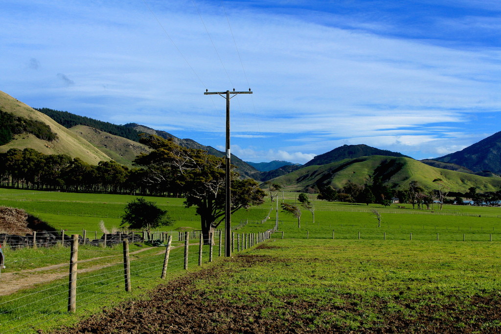 Fences and fields by kiwinanna