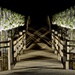 Bridge at Night by jyokota