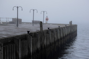 13th May 2015 - Foggy day on a Halifax Pier