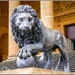 Lion Statue, Stowe House by carolmw