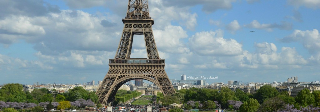 Eiffel Tower from the Trocadero by parisouailleurs