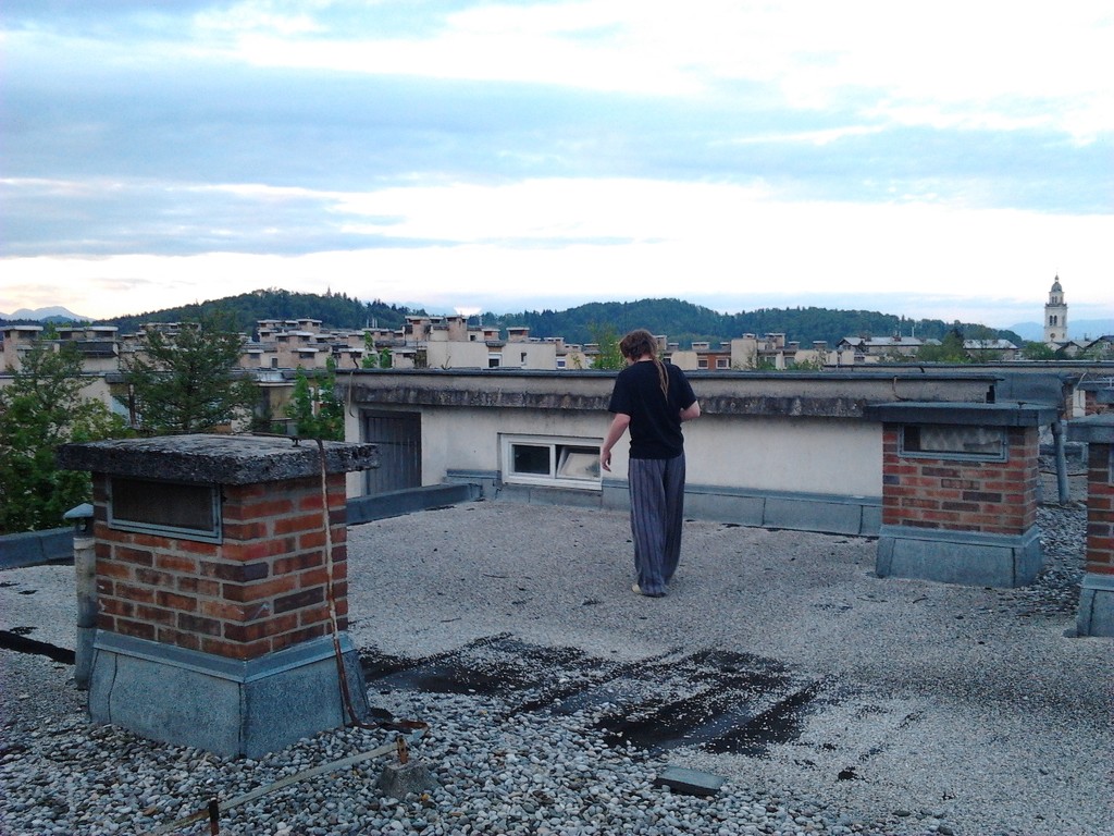 on the roof by zardz