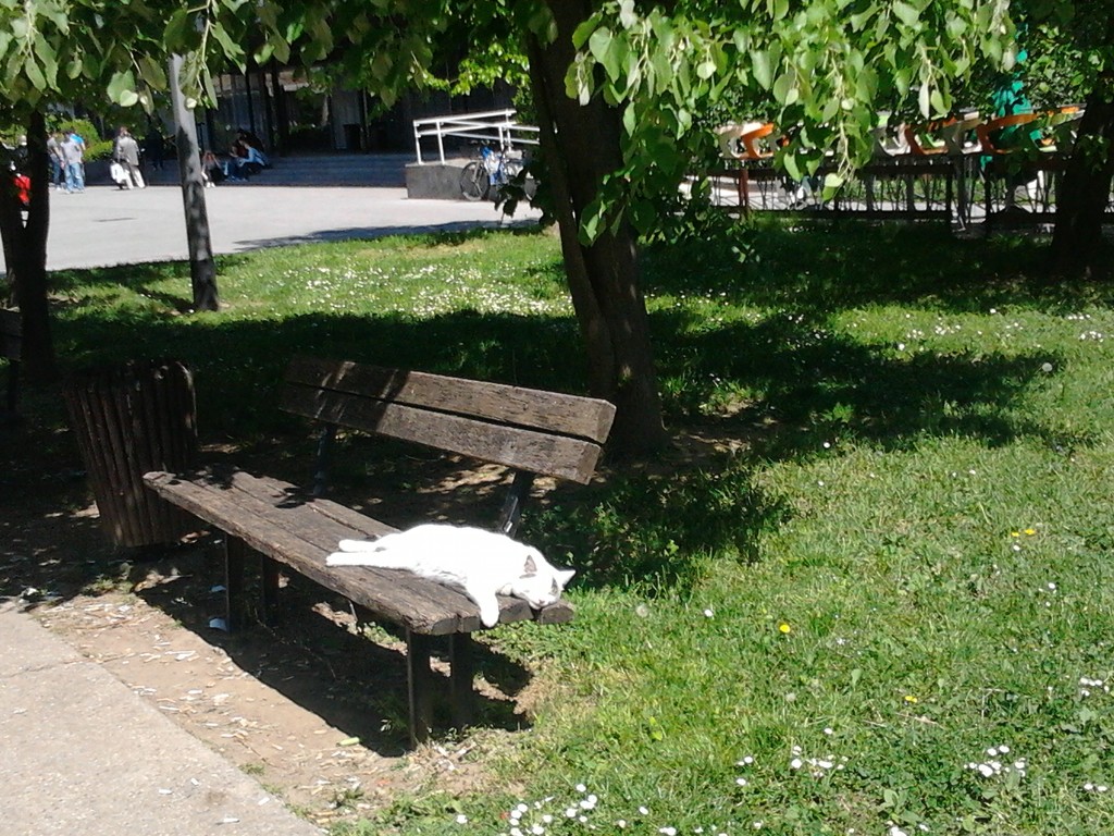 this bench is mine. by zardz