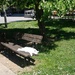 this bench is mine. by zardz