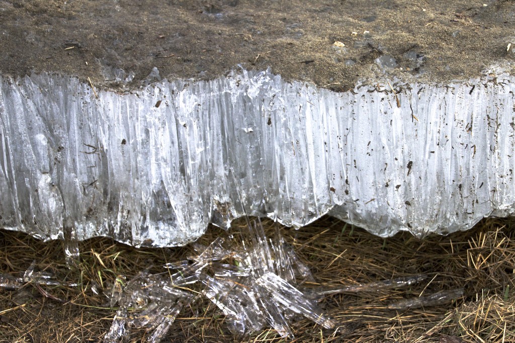 Ice Shards by jetr