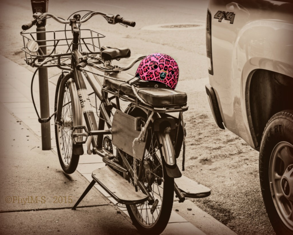 Wild Cyclin' Helmet! by elatedpixie