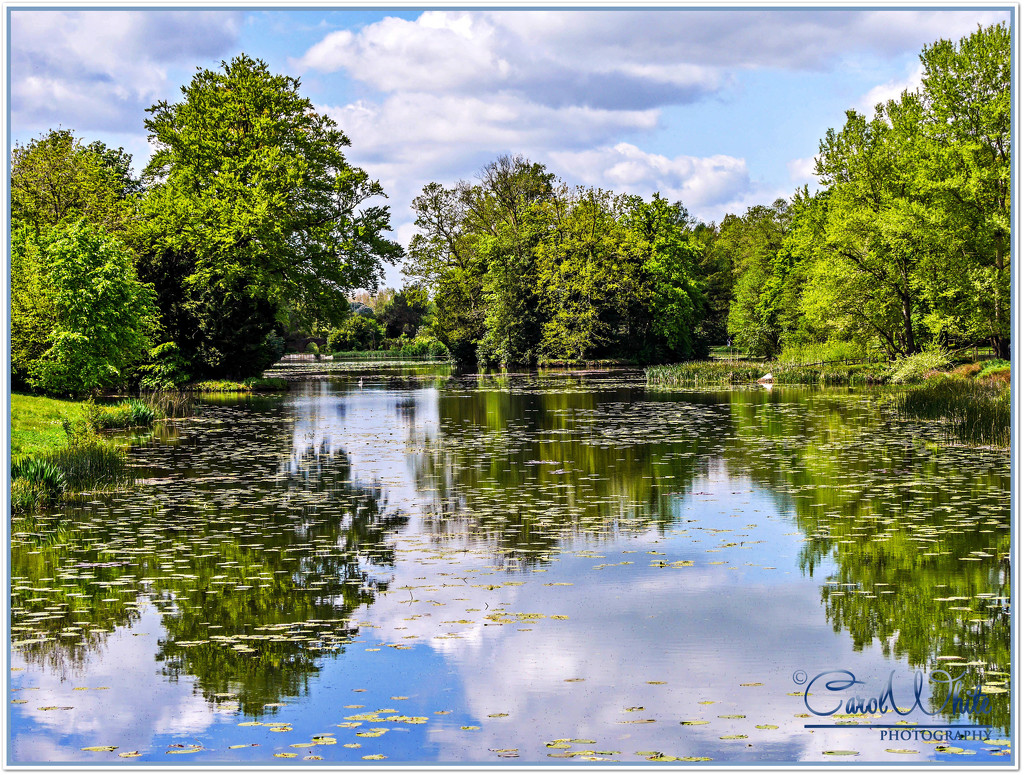 Reflections In The Lake,Stowe Gardens by carolmw